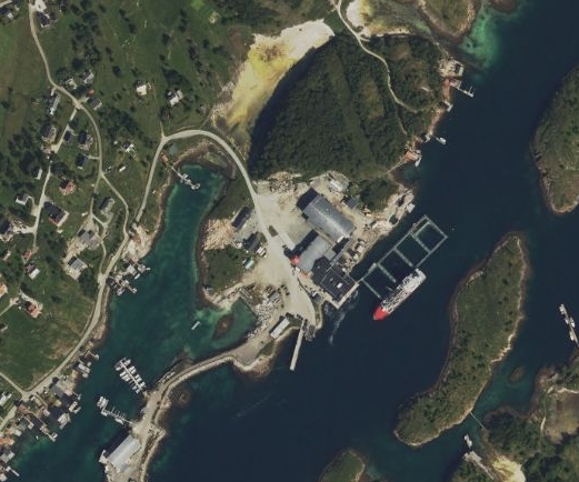 Skauholmen på Sørarnøy (Foto: Norgeskart)