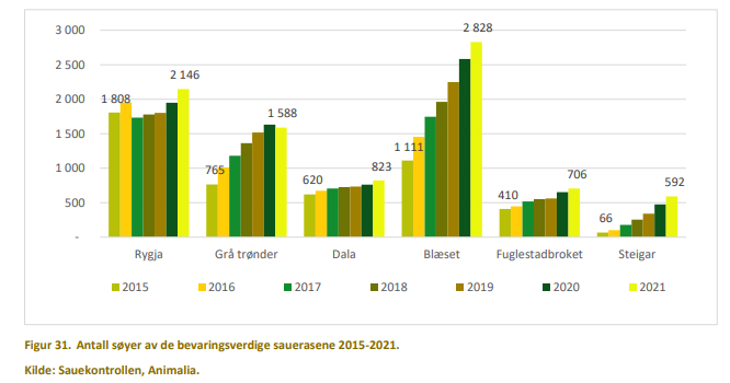 Antall søyer av bevaringsverdige saueraser.png