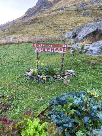 Statsråden besøkte Lofoten gårdsysteri som har skolehage for Eltoft montessoriskole. Foto: Katrine Erikstad, Statsforvalteren i Nordland