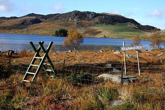 Gjerdeklyvar i Gjesdal. 