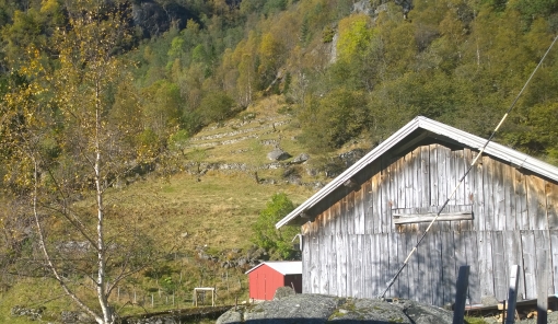 Steinterrassar på Klungtveit